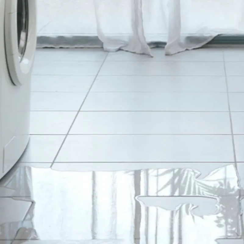 Appliance Leak Cleanup in Grand Boulevard, IL