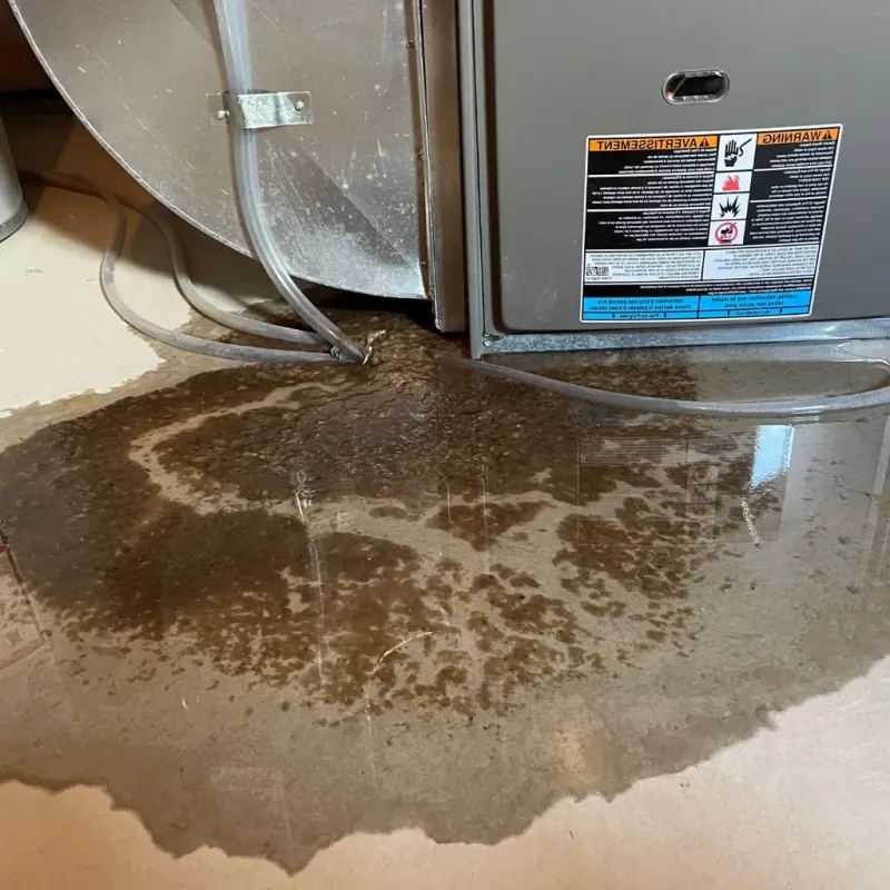 Pipe Burst and Leak Restoration in Grand Boulevard, IL