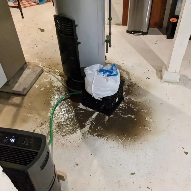 Sewage Backup Cleanup Service in Grand Boulevard, IL